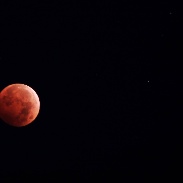 <font class="tempImageTitleThumbText">Lunar Eclipse </font><br>Bill Magee<br>Oct 8 3:49pm<br>Between clouds and snow I manag