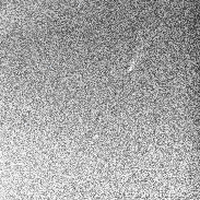 <font class="tempImageTitleThumbText">Starlink Train With Comet NEOWISE</font><br>Bill Purdy<br>Jul 22 6:11am<br>barnegat light,nj
