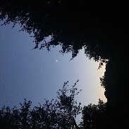 <font class="tempImageTitleThumbText">Conjunction Of Venus And The Moon</font><br>Bill Swoyer<br>Jun 16 9:01pm<br>Cochranville PA