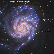 <font class="tempImageTitleThumbText">Another Brilliant M101 Galaxy Supernova!</font><br>Bill Williams<br>May 21 7:21pm<br>Chiefland Astro Village, Florid