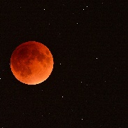 <font class="tempImageTitleThumbText">Total Lunar Eclipse</font><br>Bob Antol<br>Oct 7 1:14pm<br>Stargate 4173 at Grimaldi Tower