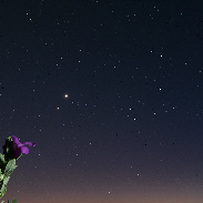 <font class="tempImageTitleThumbText">Venus-Jupiter Evening Conjunction</font><br>Bob Beal<br>Jun 10 9:11am<br>St. George, Utah, USA