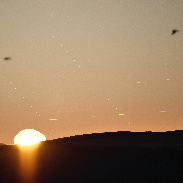 <font class="tempImageTitleThumbText">First Evening Appearance Of Venus & Mercu</font><br>Bob Beal<br>Jun 24 9:41am<br>St. George, Utah, USA