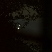 <font class="tempImageTitleThumbText">Venus-Jupiter Close Conjunction</font><br>Bob Beal<br>Jul 1 4:46am<br>Austin, TX, USA