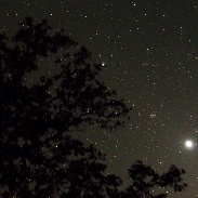 <font class="tempImageTitleThumbText">Regulus-Jupiter-Beehive-Venus</font><br>Bob Beal<br>Jun 11 7:56am<br>Llano, TX, USA