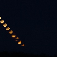 <font class="tempImageTitleThumbText">Lunar Eclipse</font><br>Brad Timerson<br>Jan 31 3:04pm<br>Newark, NY