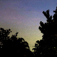 <font class="tempImageTitleThumbText">Comet Neowise 2020 </font><br>Brent<br>Jul 11 10:24am<br>Universal,Orl,FL,USA
