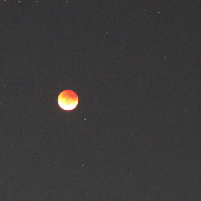<font class="tempImageTitleThumbText">May 15 2022 Lunar Eclipse </font><br>Brent<br>May 16 8:10am<br>Universal,Orl,FL,USA