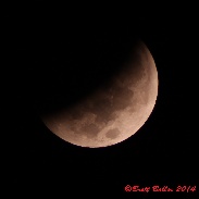 <font class="tempImageTitleThumbText">Lunar Eclipse</font><br>Brett Boller<br>Oct 8 11:41pm<br>Dorchester, Nebraska USA