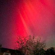<font class="tempImageTitleThumbText">Curtains Of Red Aurora</font><br>Brian Ashworth<br>Nov 12 4:08am<br>Bangor, N Ireland UK