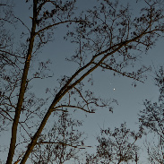 <font class="tempImageTitleThumbText">Moon, Jupiter And Saturn</font><br>Brian McDonough<br>Dec 17 11:10pm<br>Tarrytown, NY