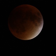 <font class="tempImageTitleThumbText">Lunar Eclipse 2015</font><br>Brian Nangle<br>Sep 28 3:47am<br>Merrick ny usa