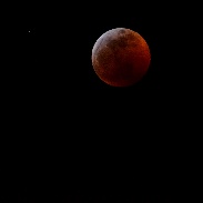 <font class="tempImageTitleThumbText">Lunar Eclipse</font><br>Bruce Honda<br>Jan 21 5:49am<br>Federal Way, WA, USA