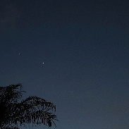 <font class="tempImageTitleThumbText">NIGHT OF THE PALM W/Venus & Jupiter</font><br>Bruce LaFrance<br>Jun 10 3:09pm<br>Phoenix, AZ