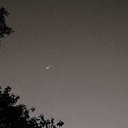 <font class="tempImageTitleThumbText">VENUS & FRIEND</font><br>Bruce LaFrance<br>May 19 11:56am<br>Phoenix, AZ