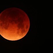 <font class="tempImageTitleThumbText">Total Lunar Eclipse</font><br>Bruce LaFrance<br>Jan 31 6:18pm<br>Phoenix, AZ