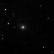 <font class="tempImageTitleThumbText">Supernova In NGC3310...SN 2021gmj</font><br>brian jobson<br>Apr 15 9:49pm<br>Milngavie, Glasgow, Scotland