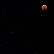 <font class="tempImageTitleThumbText">Total Lunar Eclipse And Beehive Open Star</font><br>Carl Bernhardt<br>Jan 21 4:47pm<br>East of Moreno Valley, Californ