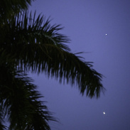 <font class="tempImageTitleThumbText">8% Waxing Crescent Moon, Jupiter, Venus</font><br>Carl Blesch<br>Feb 23 2:23am<br>Bradenton, Florida, USA
