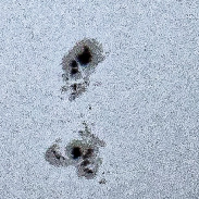 <font class="tempImageTitleThumbText">Sunspots</font><br>Carlos Stehli<br>Jul 3 11:41pm<br>Lima, Perú