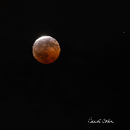 <font class="tempImageTitleThumbText">Partial Lunar Eclipse</font><br>Carol Kunkis Cohn<br>Aug 28 6:41am<br>Corona del Mar, California, USA