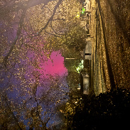 <font class="tempImageTitleThumbText">Auroras</font><br>Cary Davis<br>Nov 12 3:19am<br>Luzerne, Kentucky, USA