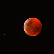 <font class="tempImageTitleThumbText">Lunar Eclipse</font><br>Charles Chiofar<br>Jan 21 5:09pm<br>Buckley,Washington