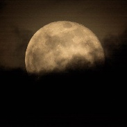<font class="tempImageTitleThumbText">Lunar Eclipse - One Day After</font><br>Charles Chiofar<br>Jan 22 8:51pm<br>Buckley,Washington