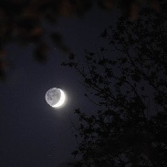 <font class="tempImageTitleThumbText">Moon, Venus And Mt. Rainier</font><br>Charles Chiofar<br>Jun 17 7:39pm<br>Buckley,Washington
