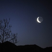 <font class="tempImageTitleThumbText">Venus Moon Conjunction</font><br>Charles Chiofar<br>Mar 3 6:50pm<br>Buckley,Washington