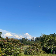<font class="tempImageTitleThumbText">Moon Over Mt. Rainier</font><br>Charles Chiofar<br>Jun 24 8:45pm<br>Buckley, Washington