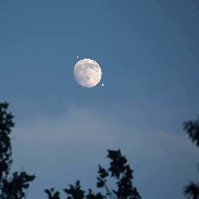<font class="tempImageTitleThumbText">Venus/Jupiter Conjunction</font><br>Charles F. Lindgren<br>Jun 30 1:25pm<br>Cohasset, Massachusetts, USA