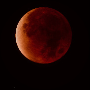 <font class="tempImageTitleThumbText">Lunar Eclipse Late Totality</font><br>Chris Brown<br>Mar 6 12:32am<br>Santa Fe, NM