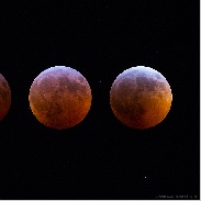 <font class="tempImageTitleThumbText">Total Lunar Eclipse</font><br>Chris Cook<br>Jan 21 4:52pm<br>Cape Cod, Massachusetts, USA