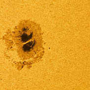 <font class="tempImageTitleThumbText">AR4478</font><br>Chris Cook<br>Jul 4 6:06pm<br>Cape Cod, Massachusetts, USA