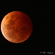 <font class="tempImageTitleThumbText">Total Lunar Eclipse - Oct 2014</font><br>Chris Douglass<br>Oct 8 1:54pm<br>Sydney, Australia