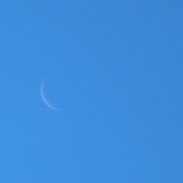 <font class="tempImageTitleThumbText">Moon And Venus Conjunction</font><br>Chris Schur<br>Dec 7 6:06pm<br>Scottsdale, az