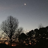 <font class="tempImageTitleThumbText">Moon In Line With Venus And Jupiter</font><br>Chrissy Wainwright<br>Jan 31 12:53pm<br>Springdale, Arkansas