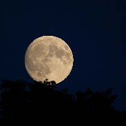 <font class="tempImageTitleThumbText">Moonrise</font><br>Christophe Stolz<br>Aug 26 9:51pm<br>Faoug, Switzerland