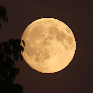 <font class="tempImageTitleThumbText">Moonrise</font><br>Christophe Stolz<br>Sep 25 5:56pm<br>Faoug, Switzerland