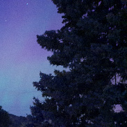 <font class="tempImageTitleThumbText">Auroras </font><br>Christopher Jackson<br>Oct 11 2:50am<br>Oroville, WA