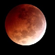 <font class="tempImageTitleThumbText">Lunar Eclipse</font><br>Chuck Hunt<br>Oct 10 4:32pm<br>Brook Park, Ohio