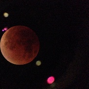 <font class="tempImageTitleThumbText">Total Lunar Eclipse 27 Sept. 2015</font><br>Chuck Wilcox<br>Sep 28 4:05am<br>Boston, MA