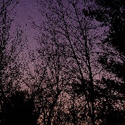 <font class="tempImageTitleThumbText">Planet At Sunset</font><br>Claudio Pincelli<br>Jan 13 11:58pm<br>East Otis 
Massachusetts
USA