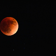 <font class="tempImageTitleThumbText">Lunar Eclipse</font><br>Craig Crawford<br>May 16 5:38am<br>Bradenton, Florida