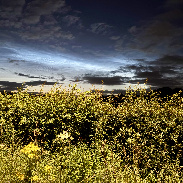 <font class="tempImageTitleThumbText">NLC</font><br>Craig Smith<br>Jul 1 5:48pm<br>Inchinnan, Scotland