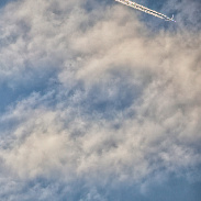 <font class="tempImageTitleThumbText">Venus Occultation</font><br>Cristina Cellini<br>Nov 9 9:19pm<br>Ravenna (Italy)