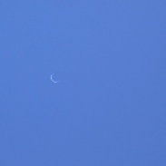 <font class="tempImageTitleThumbText">Venus</font><br>Csaba Hadhazi<br>Jan 12 2:49pm<br>Hajduhadhaz,HUNGARY