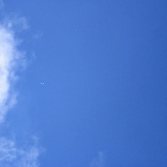 <font class="tempImageTitleThumbText">Venus</font><br>Csaba Hadhazi<br>Mar 19 3:45pm<br>Hajduhadhaz,HUNGARY