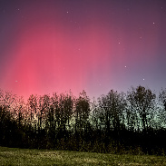 <font class="tempImageTitleThumbText">Aurora </font><br>Dahveed<br>Nov 12 3:51am<br>Plainfield, IN